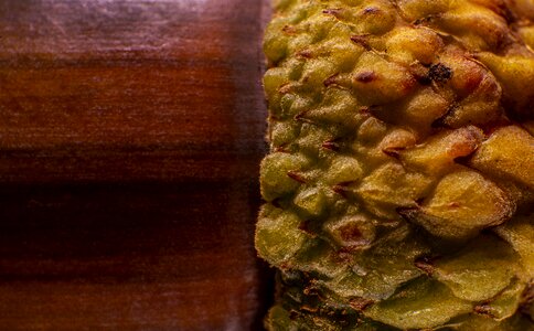 Tree fruit macro symmetry