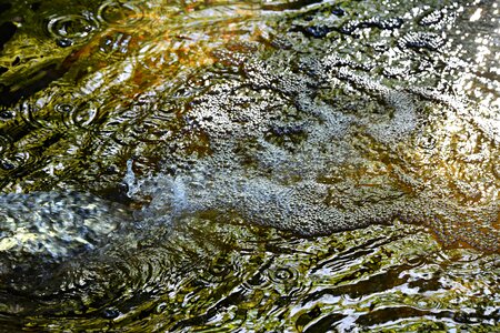 Flowing bubbles sparkling