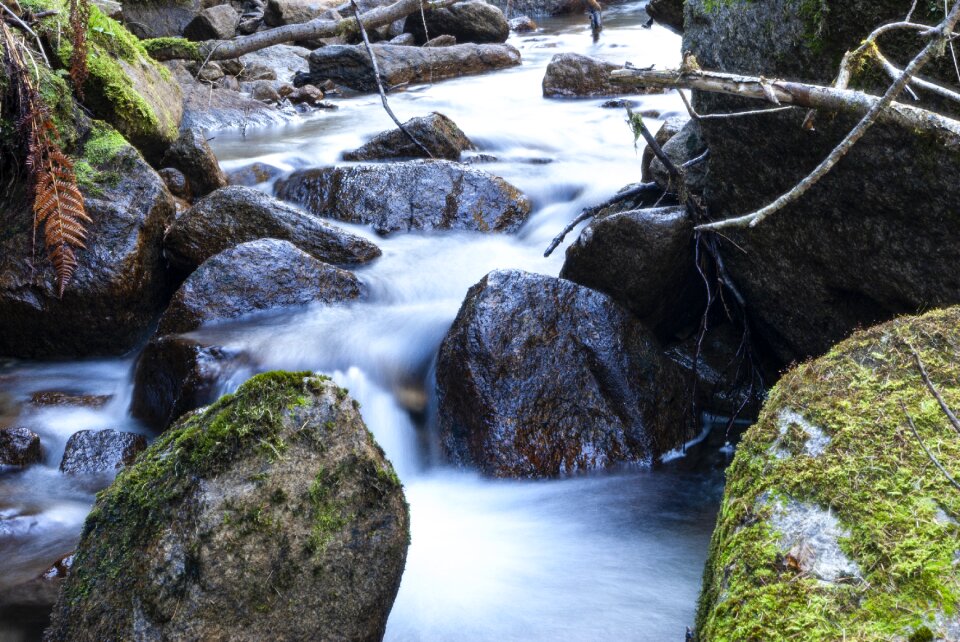 Landscape liquid bach