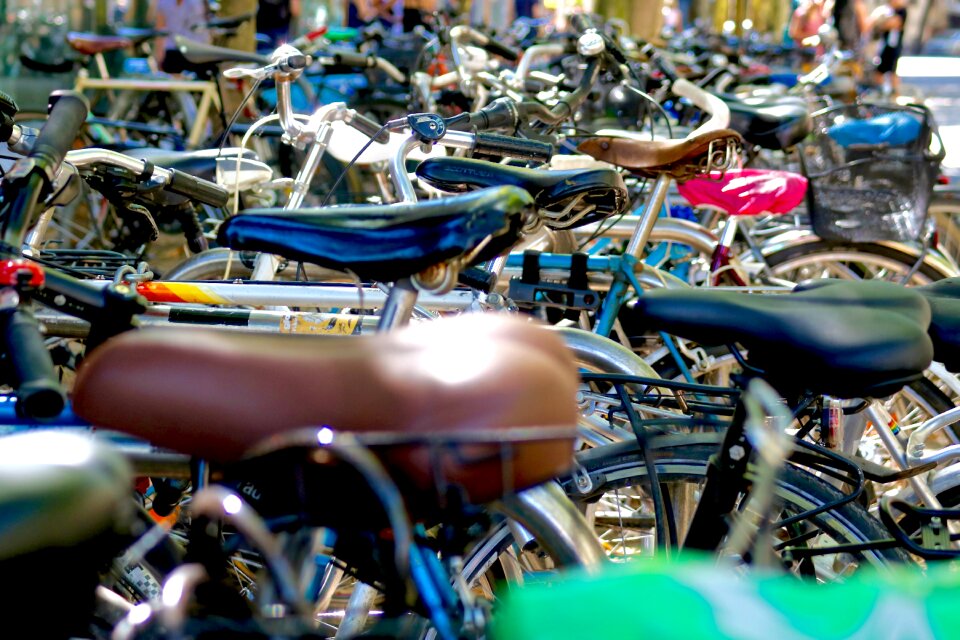 Students mobility environment