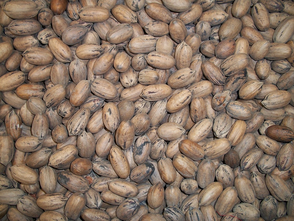 Nuts brown snack