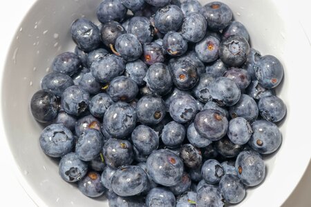 Bowl blueberries fresh