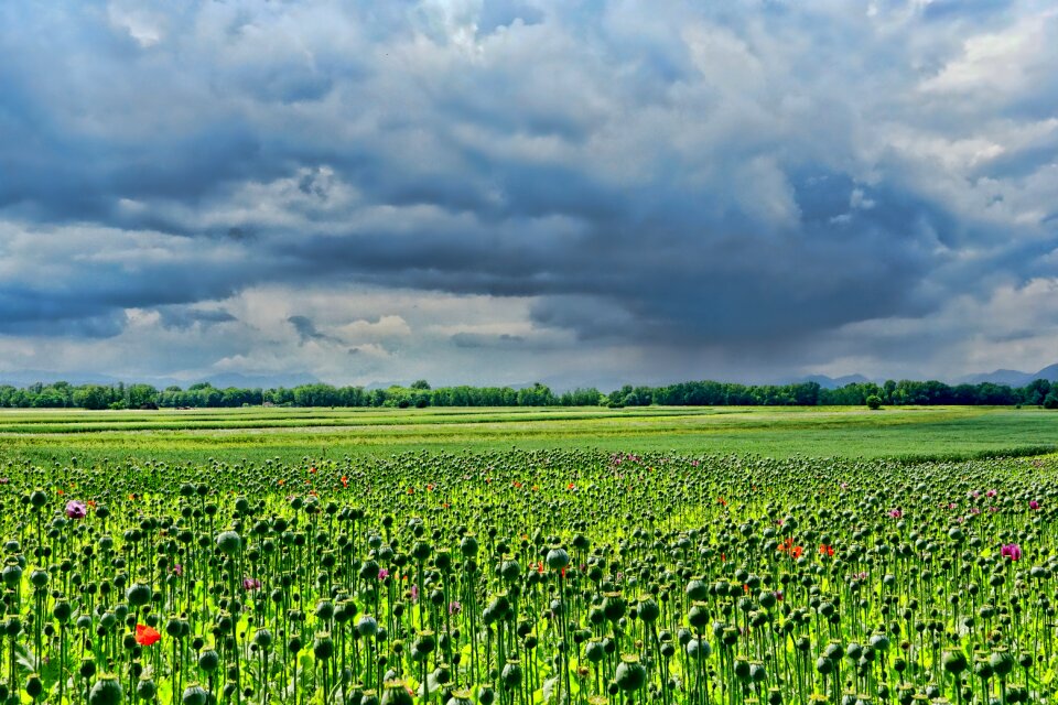 Clouds dramatic clouds storm clouds