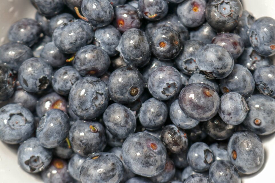 Bowl blueberries fresh