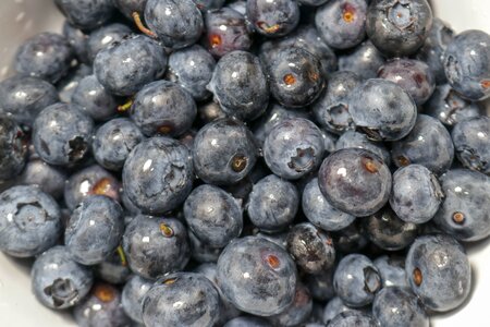 Bowl blueberries fresh