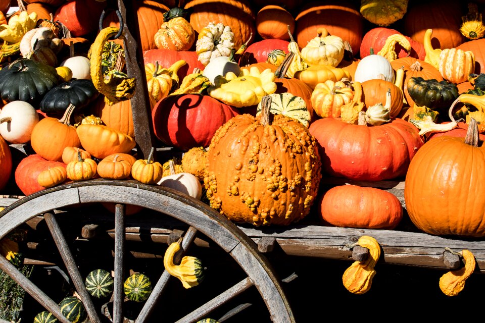 Autumn decoration autumn colorful
