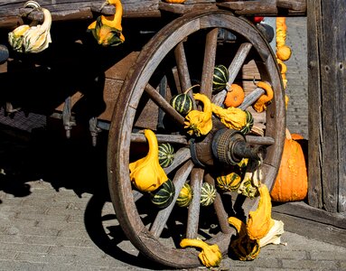 Autumn decoration autumn spoke wheel