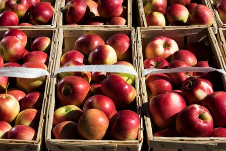 Ripe food health