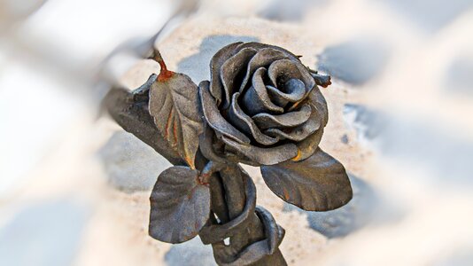 Handrail rosa petals