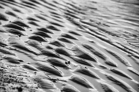 Invoice wrinkles detail of