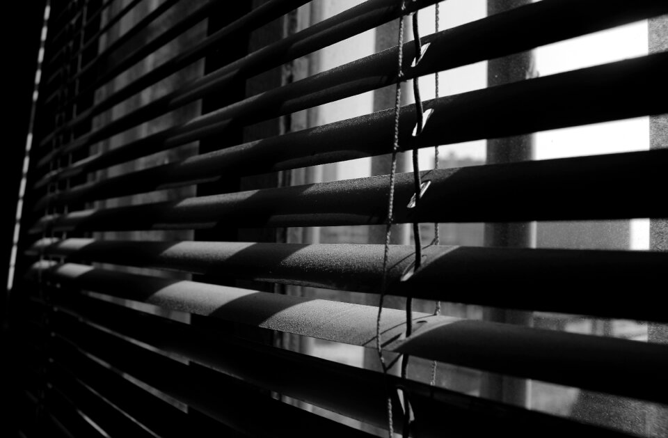 Black window shades window