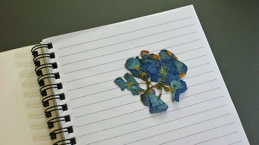 Vegetable petals beautiful