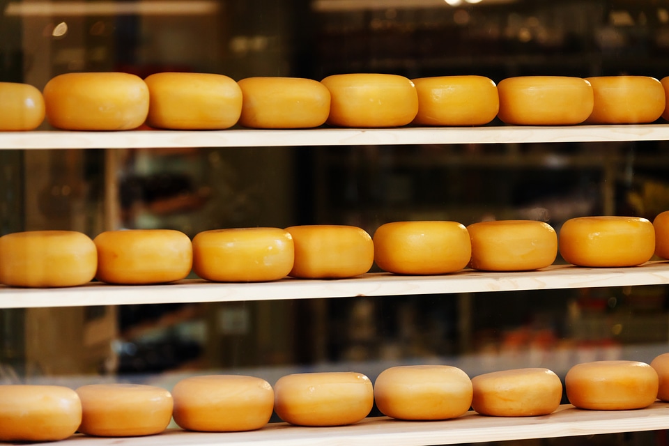Cheese cheesy circle