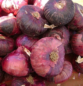 Onions red vegetables photo