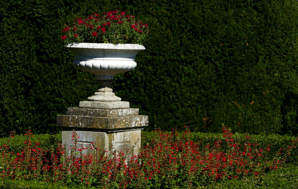 Flowers hedge castle garden wildegg