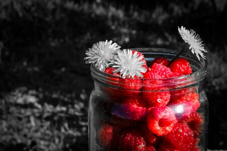 Summer in the summer of nature