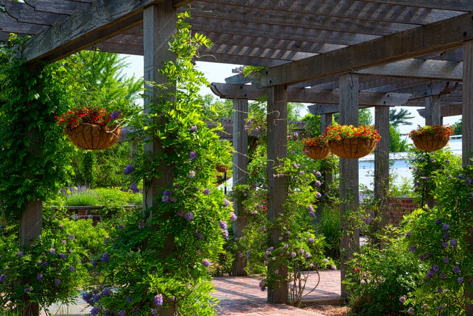 Garden summer nature