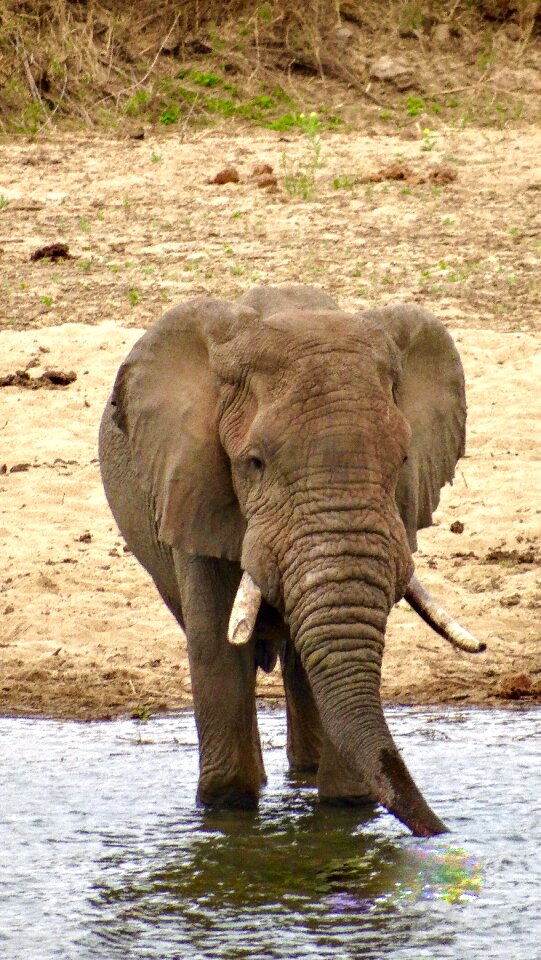 River safari africa