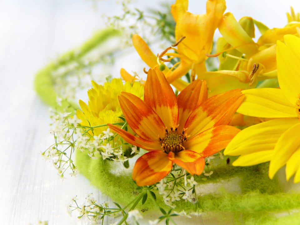 Orange flowers floral greeting