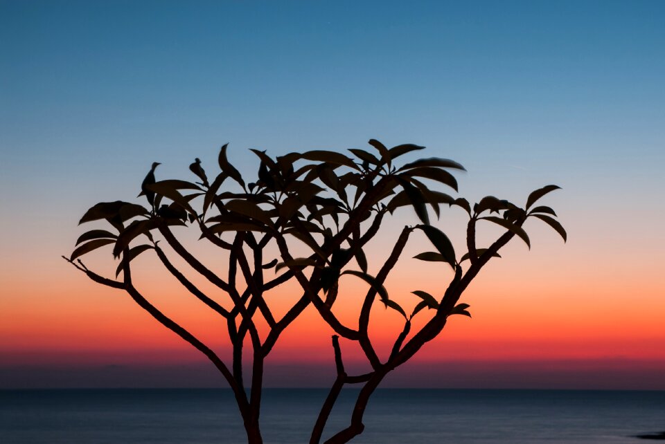 In the evening twilight sea