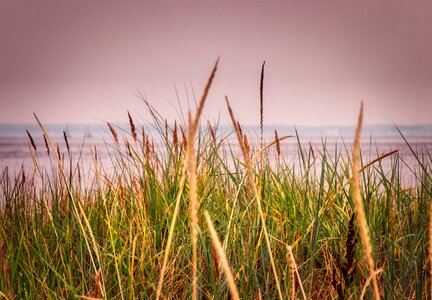 Sea coast nature