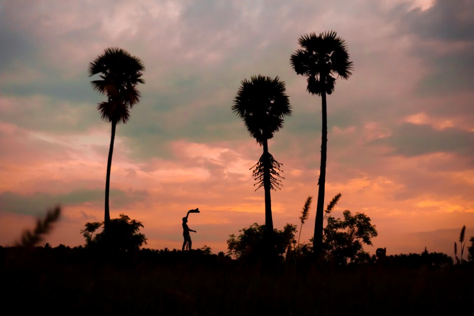 India sunset farm