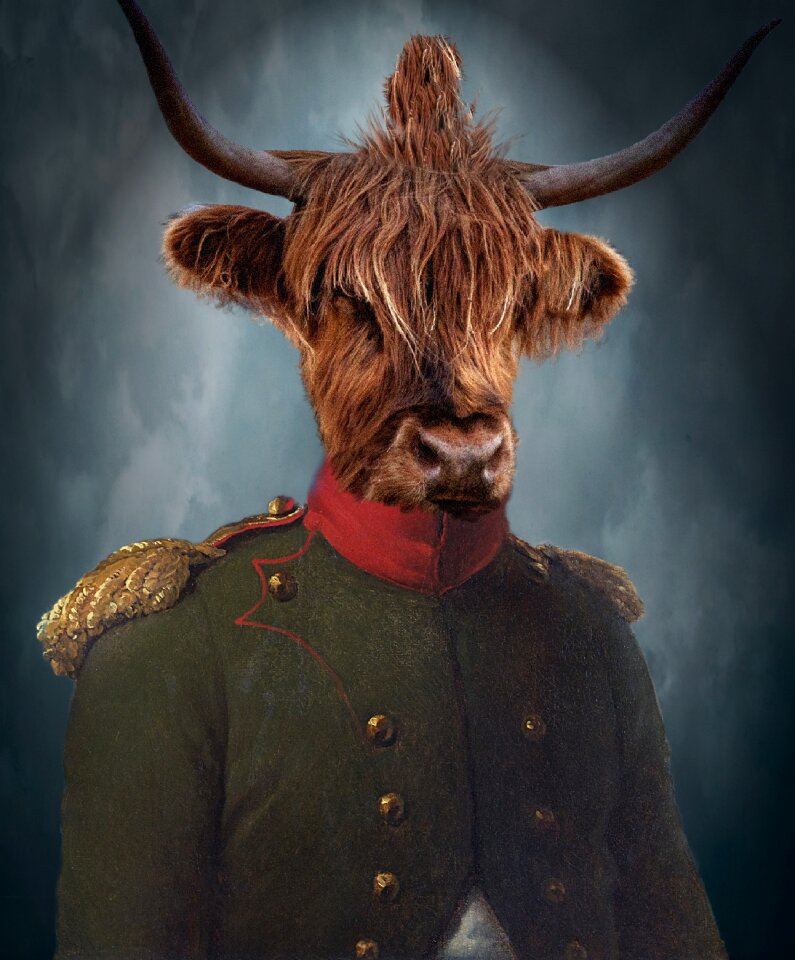 Fighter pride animal