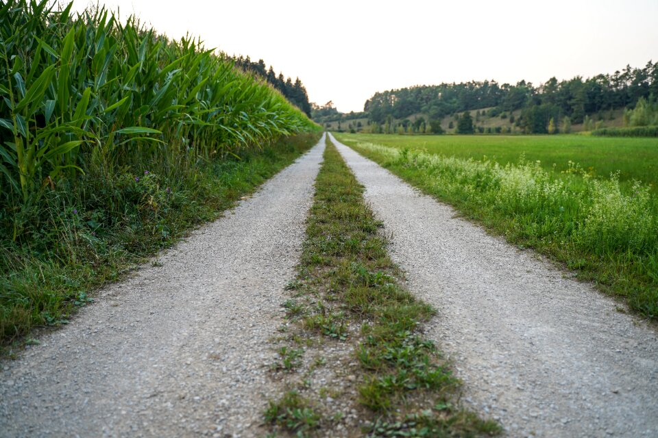 Horizon landscape nature