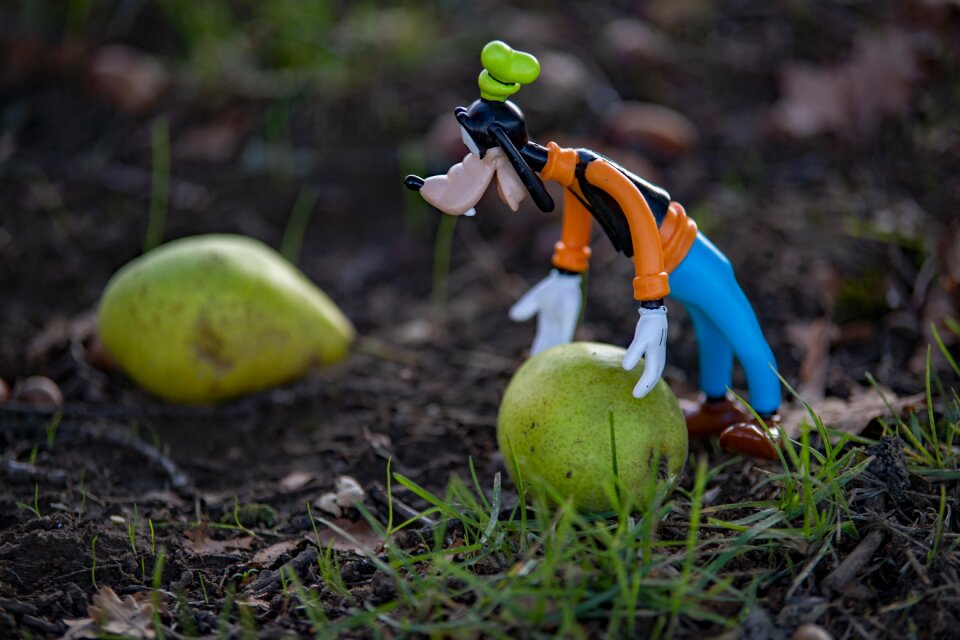 Still life season fruit