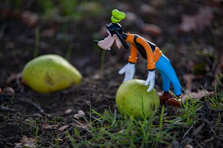 Still life season fruit