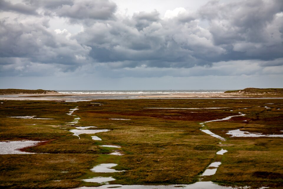 Nature north sea landscape