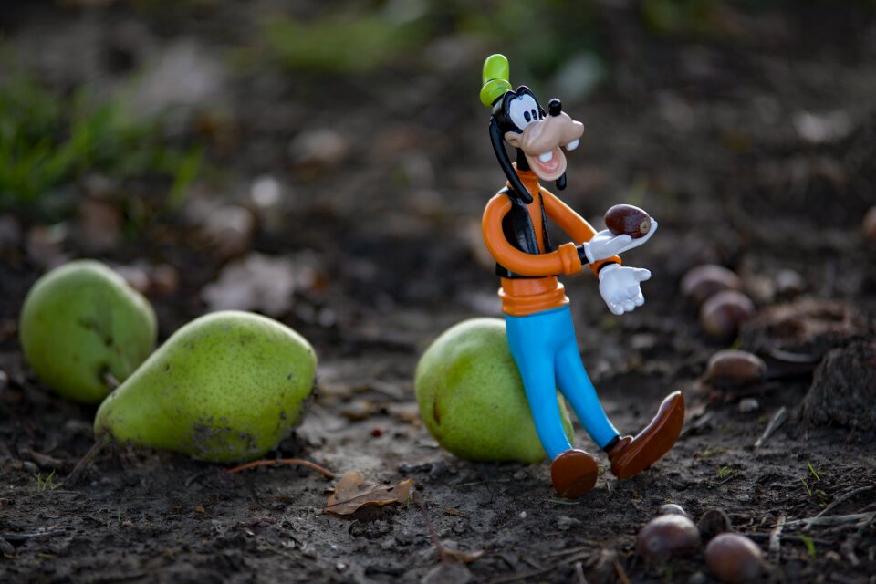 Still life season fruit