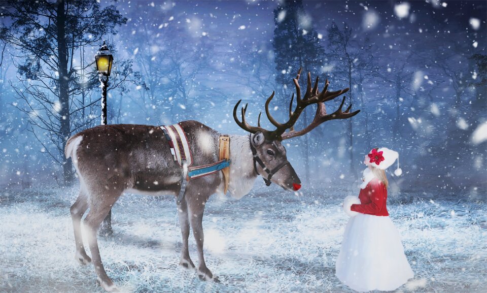 Snow christmas cute