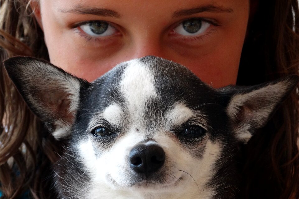 Look puppy friendship