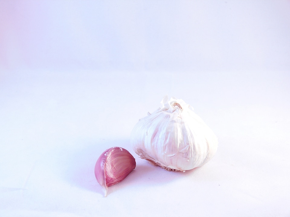 Garlic white background
