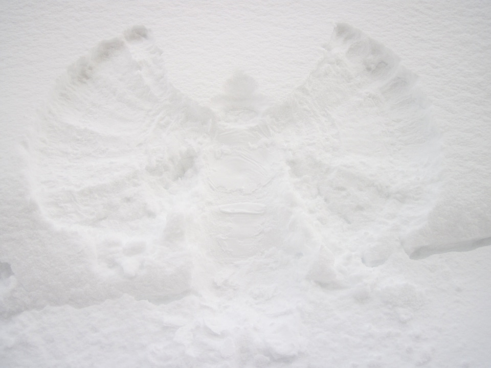 Angel christmas cold