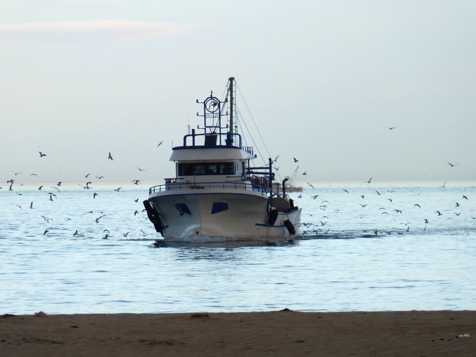 Boat boats nature