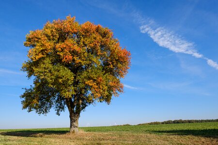 Colorful color landscape