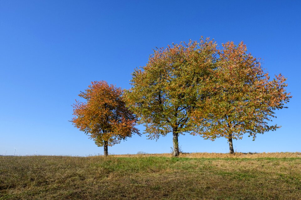 Colorful color landscape