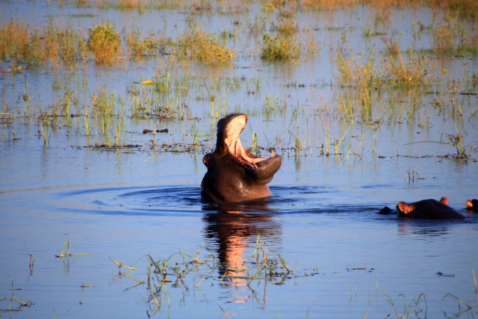 River nature africa