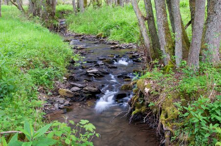 Forest natuschutzgebiet sauer bach