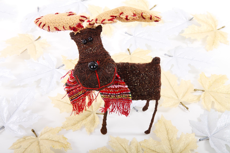 Animal celebration christmas