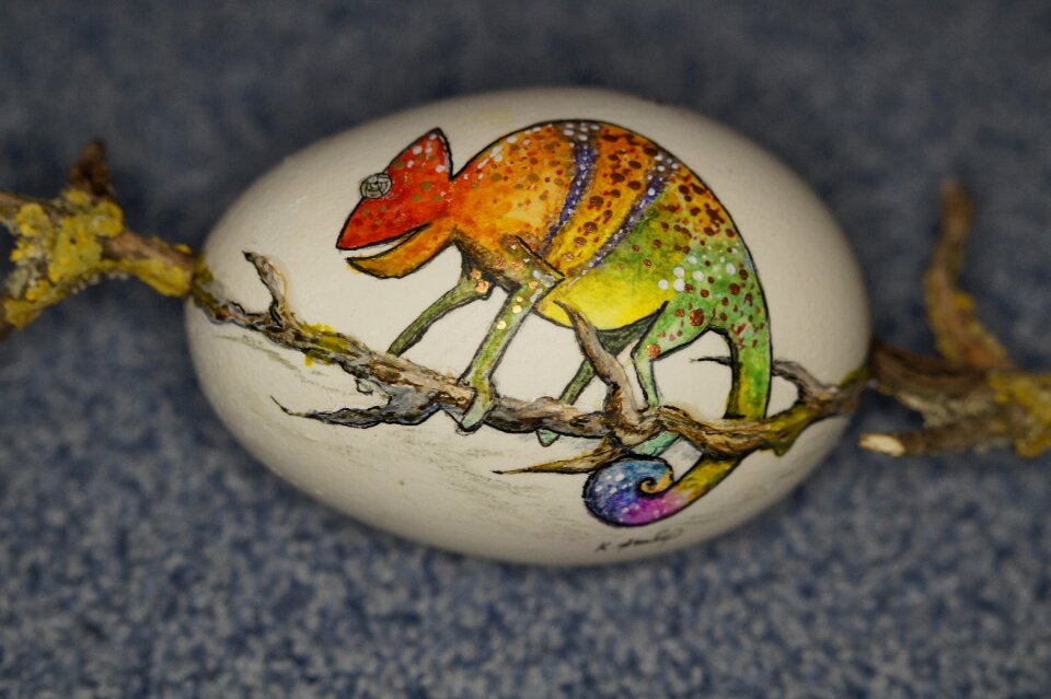 Decorated colorful chameleon