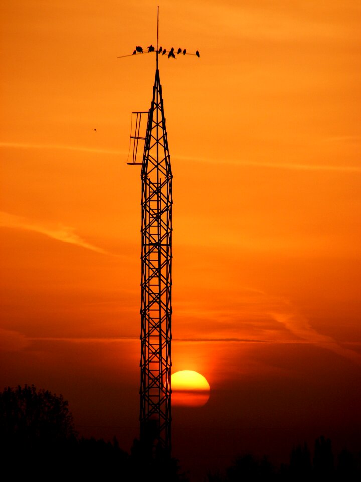 Red cloud pole