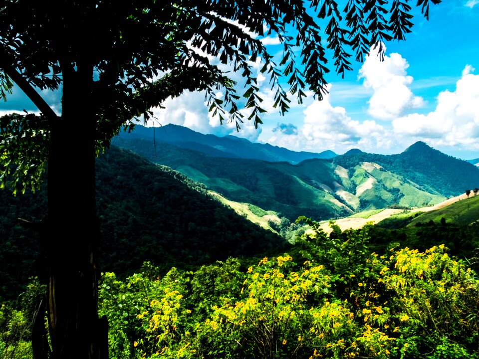 Mountains north thailand morning sun