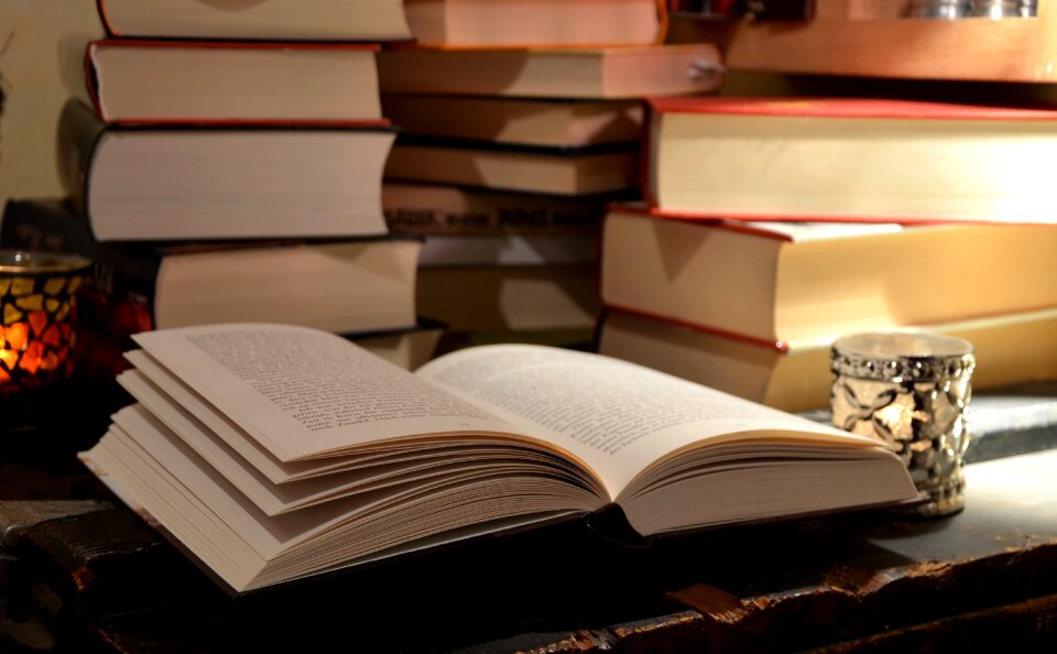 Literature books study