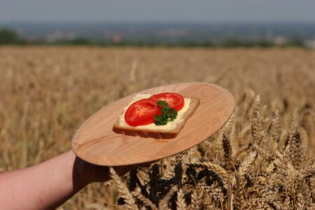 Nutrition rye agriculture