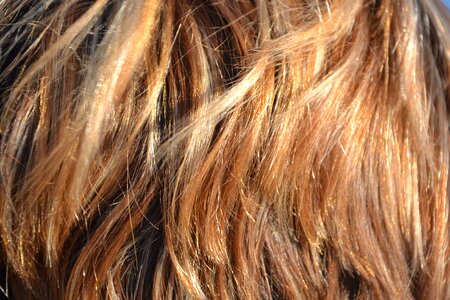 Woman beautiful hair dyed