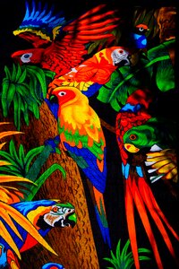 Parakeet birds towel
