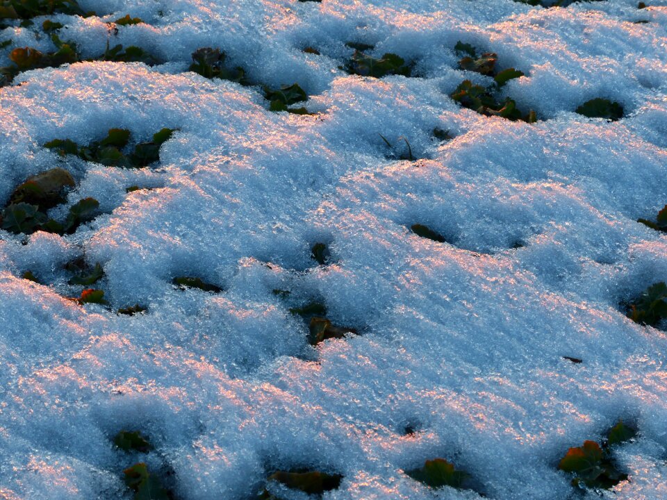 Frozen ice formation snow